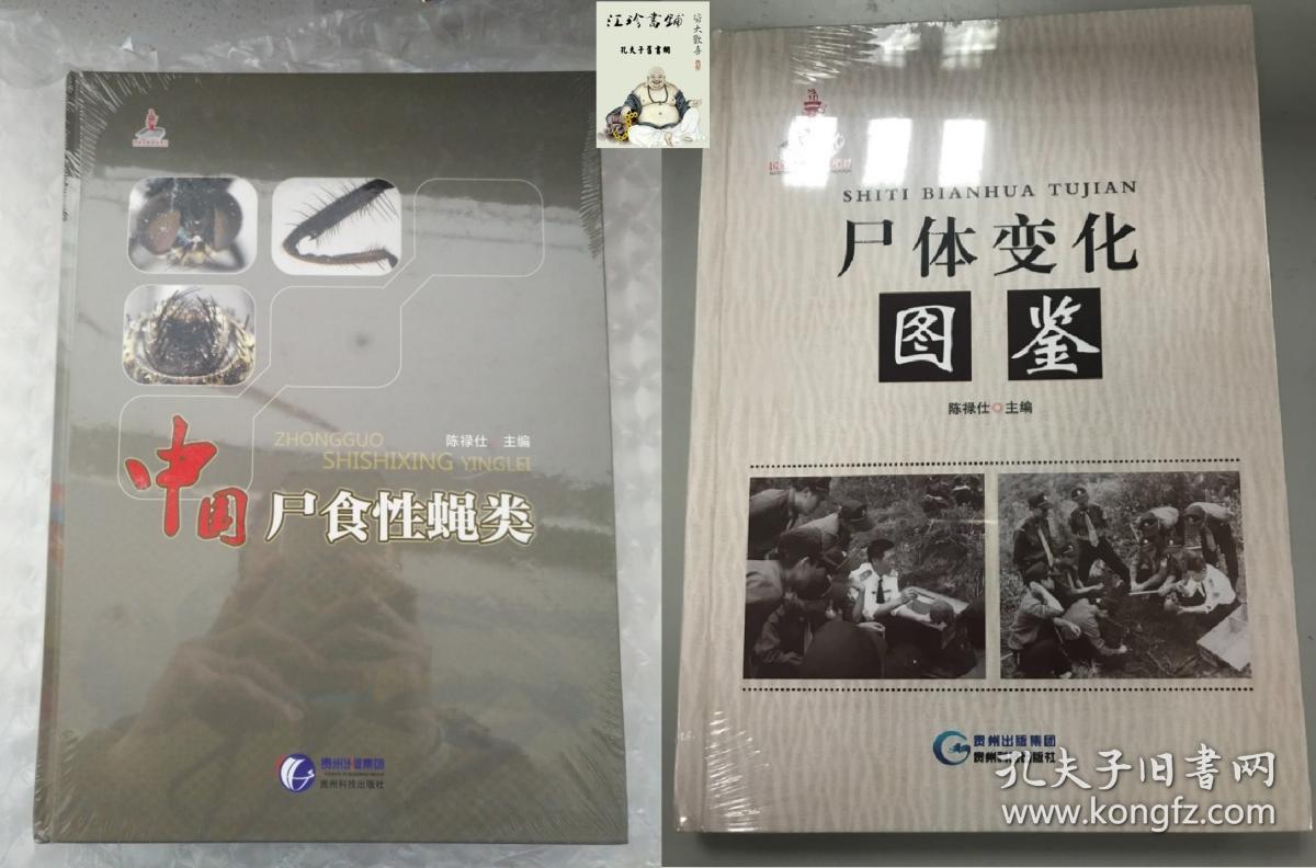 尸体变化图鉴中国尸食性蝇类陈禄仕全2册