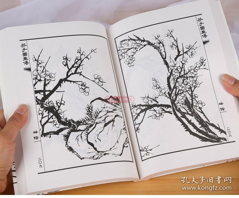 学海轩 芥子园画传 兰竹梅菊谱(清)王概 水墨画中国画技法入门教材