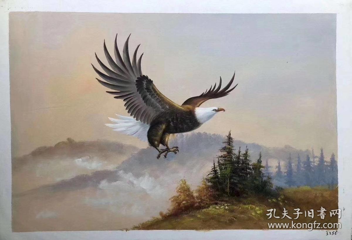 【卖家保真】郑秋里老师精品油画鹰 保真保手绘 真迹!
