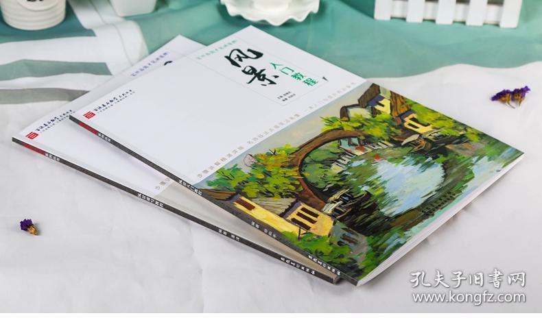 技法训练学生成人绘画书籍色彩技巧构图透视布局步骤安徽美术出版社