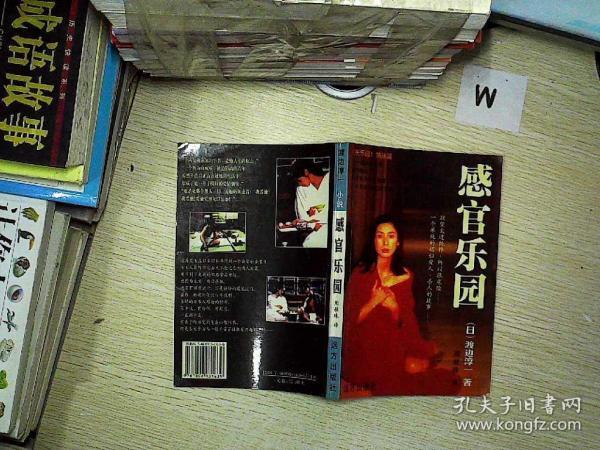 《感官乐园》低价购书_[日]渡边淳一_文学_孔网