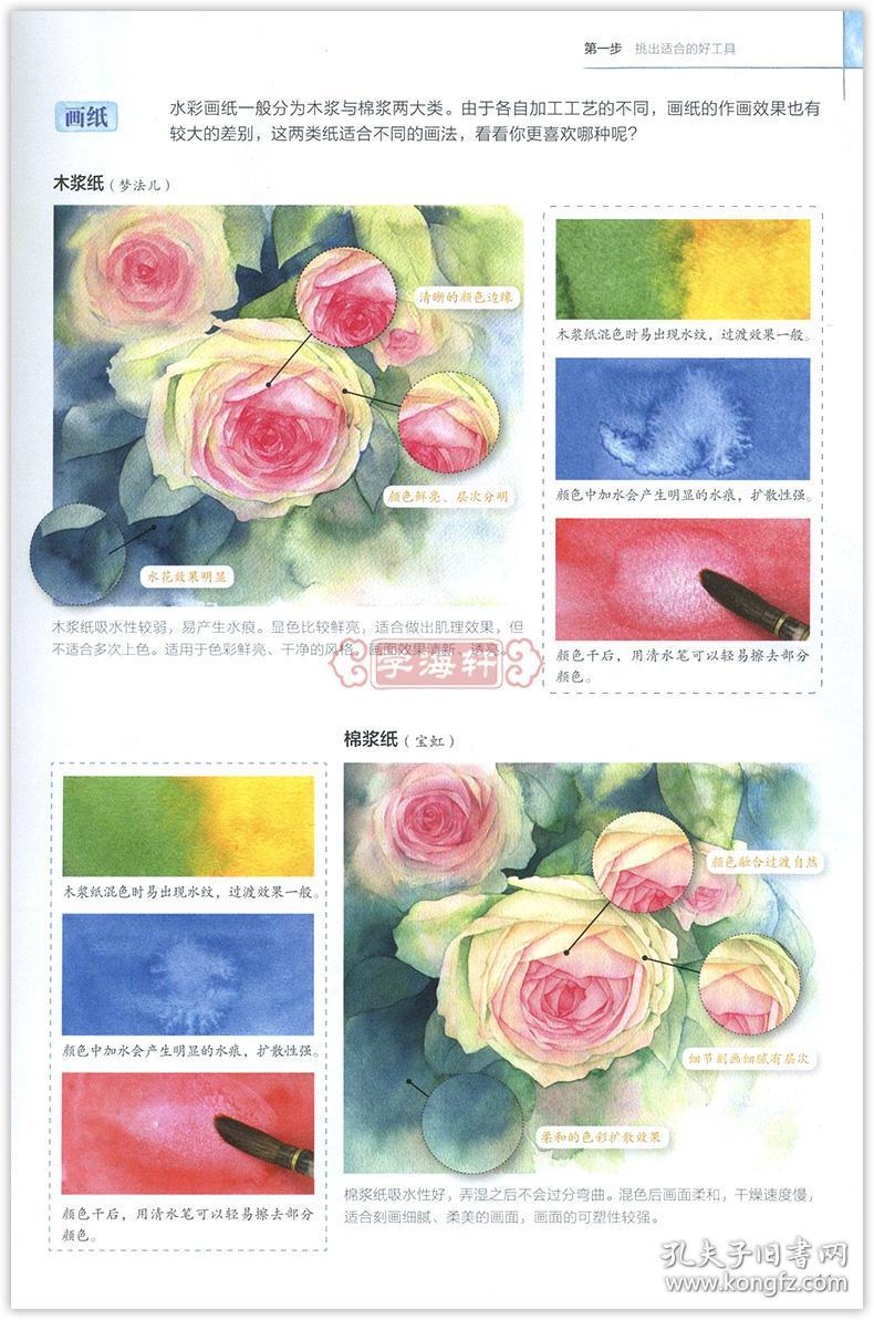 学海轩水彩入门自学教程零基础从临摹到写生飞乐鸟成人学生水彩画基础
