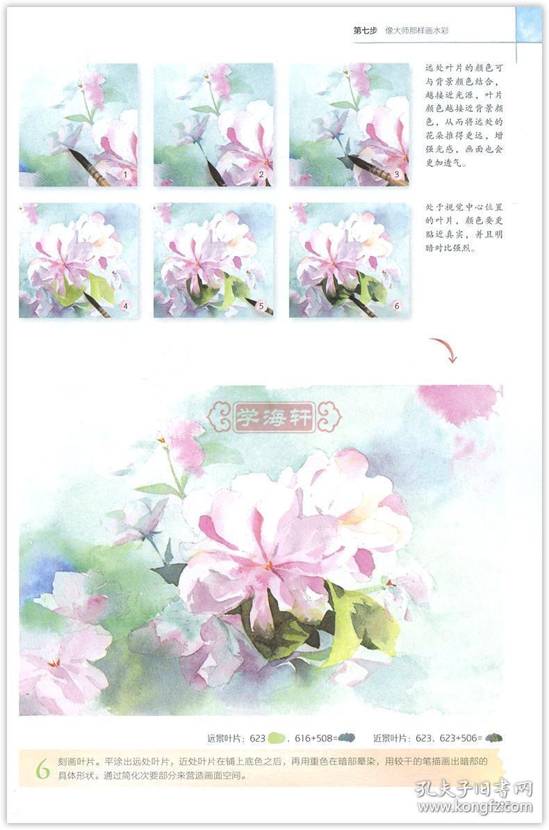 学海轩 水彩入门自学教程 零基础从临摹到写生 飞乐鸟