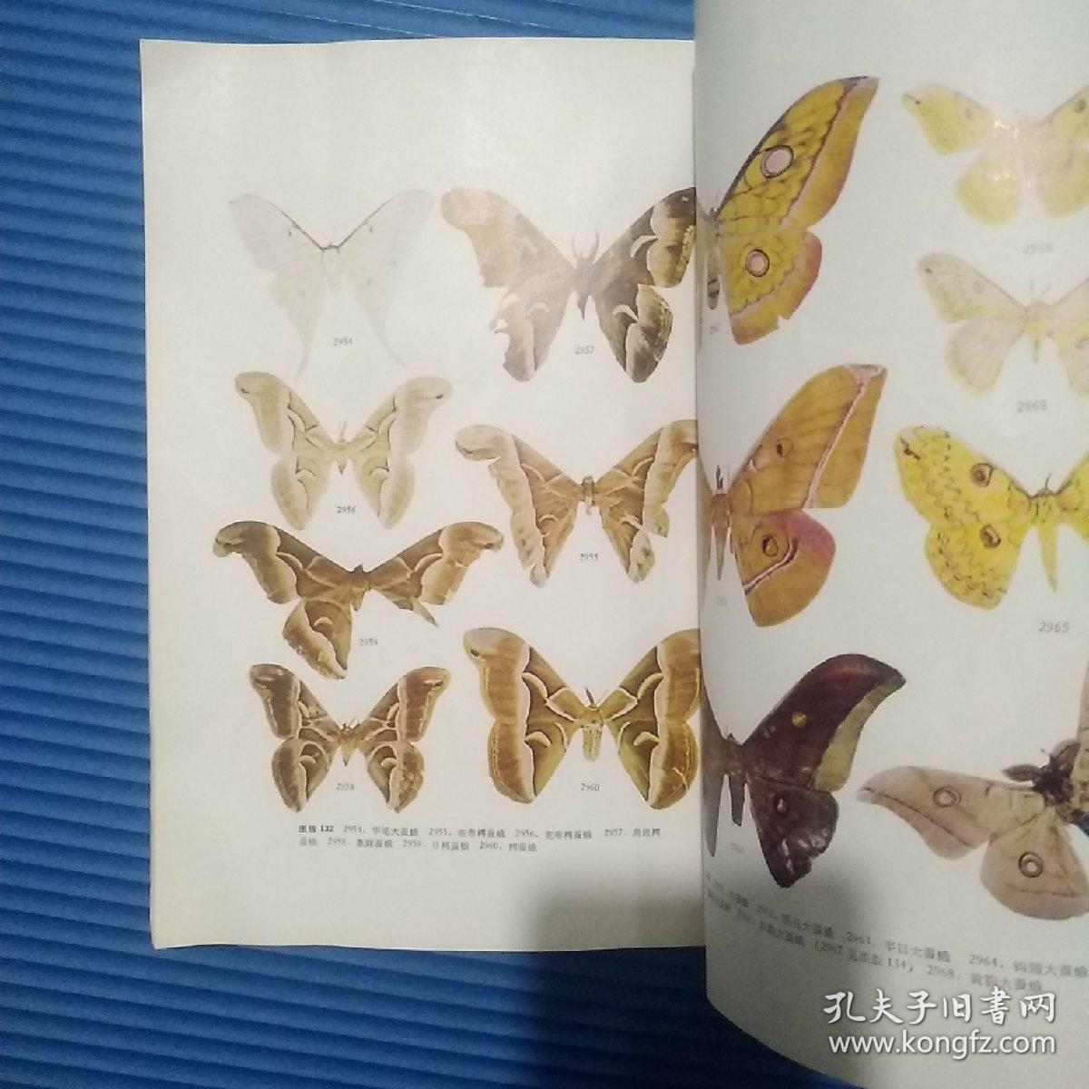 中国蛾类图鉴.(Ⅳ)【馆藏】16开 著名动物学家侯陶谦签赠本