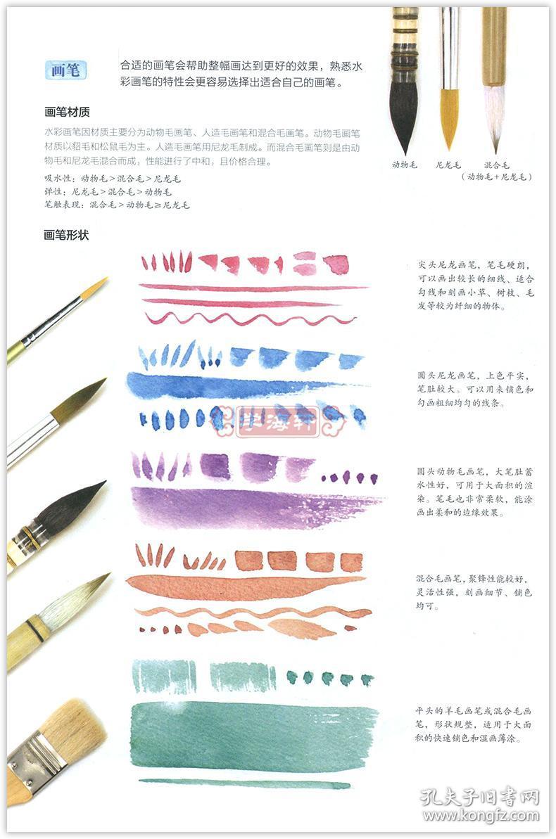 飞乐鸟 成人学生水彩画基础绘画临摹美术书籍 工具介绍色彩知识线稿平