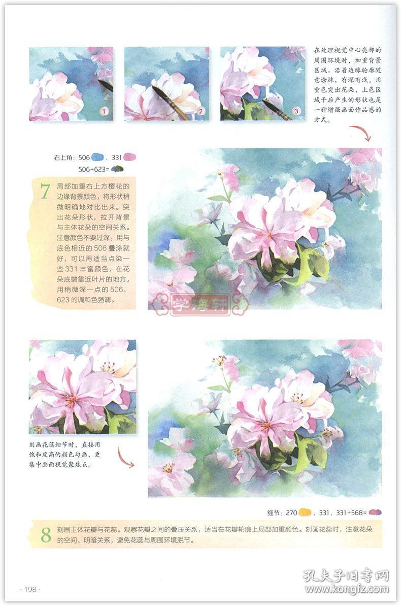 学海轩水彩入门自学教程零基础从临摹到写生飞乐鸟成人学生水彩画基础