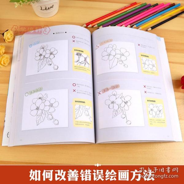 零基础从临摹到写生 飞乐鸟 成人学生水彩画基础绘画临摹美术书籍