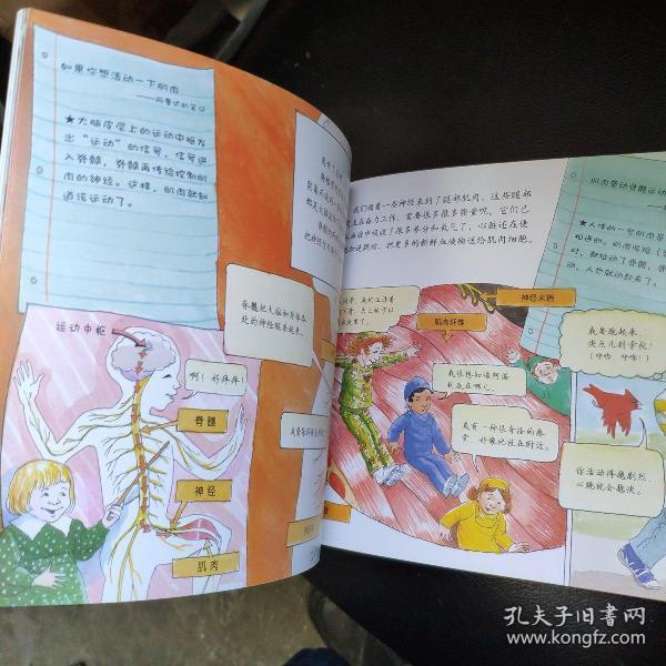 神奇校车 探访感觉器官等 全十册 套装