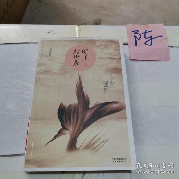 明王幻世录