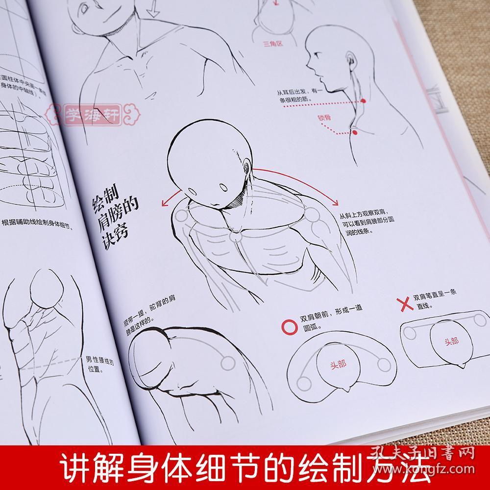 零基础漫画入门教程 成人学生绘画漫画新手自学基础教材美术书籍 人物