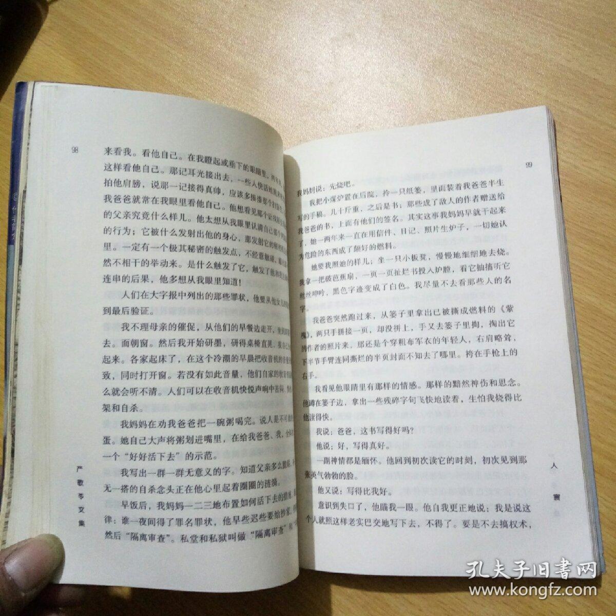 严歌苓文集:人寰