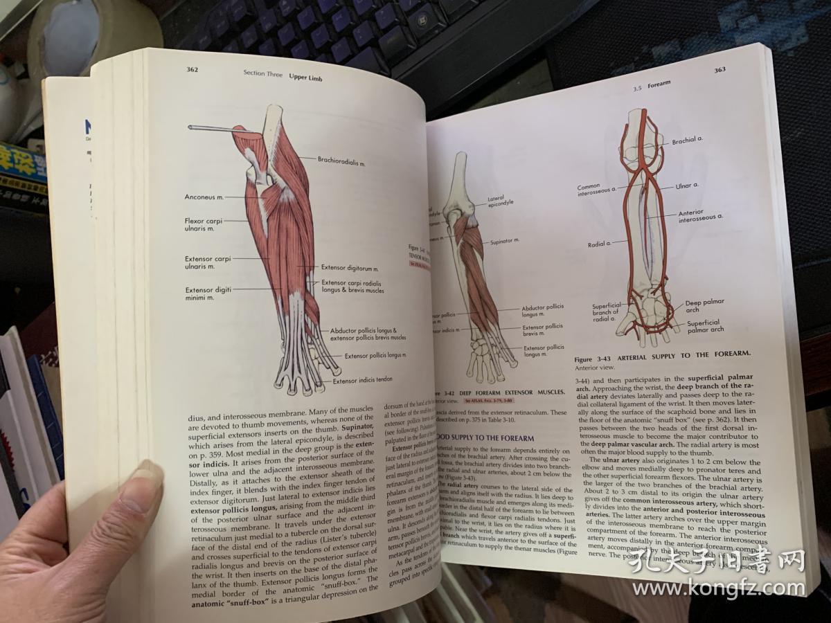 clinical anatomy principles(临床解剖学原则【英文原版书,品相看图