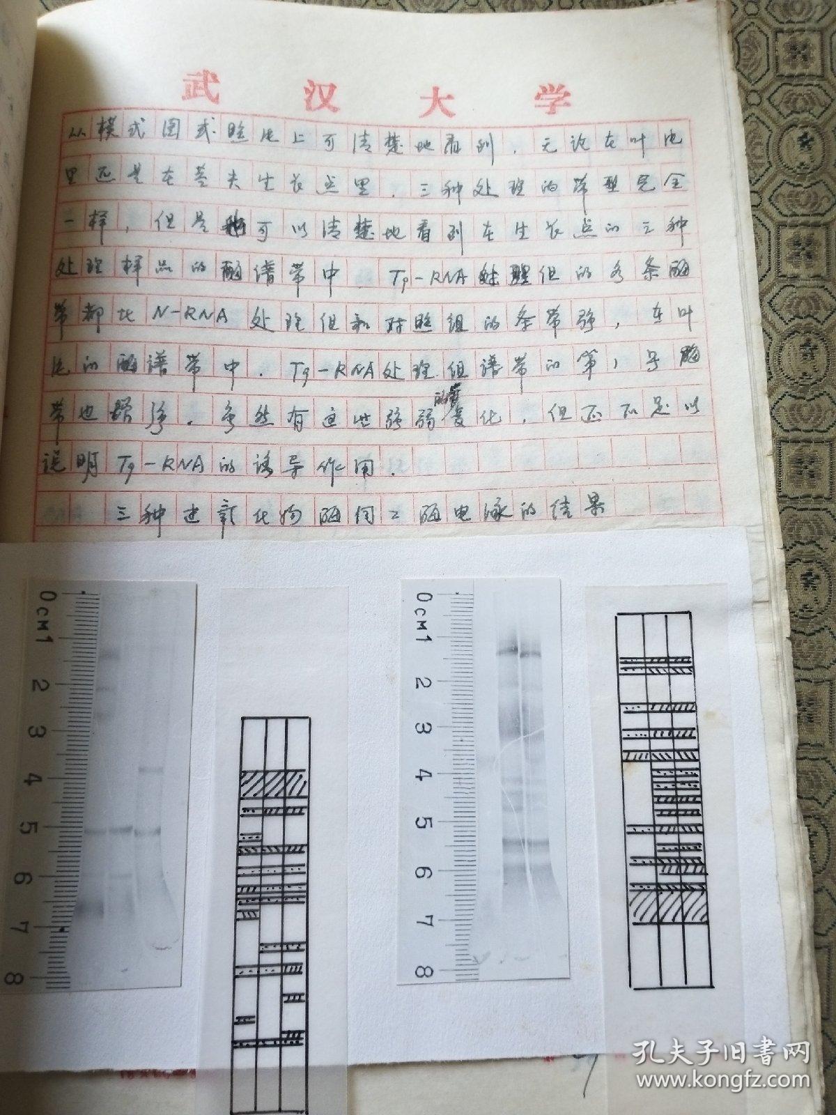 现任湖北大学副教授,硕士研究生导师居超明 手写的毕业论文《水稻光
