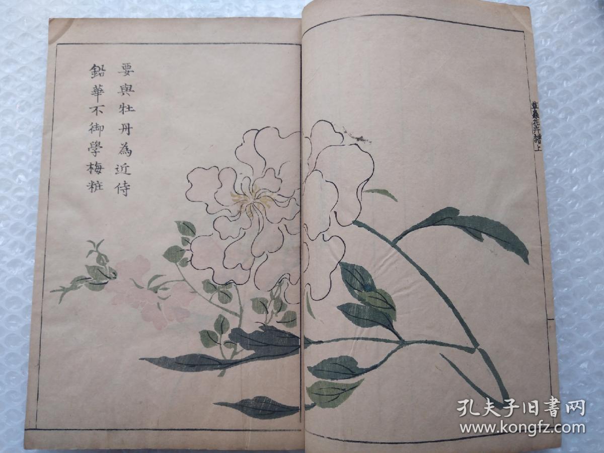 芥子园画传四集草虫花卉谱一函4册全