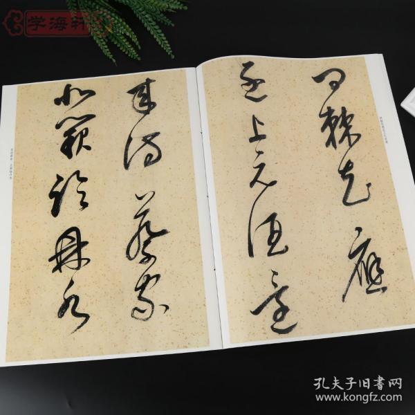 彩色放大本中国碑帖 繁体旁注 孙宝文 草书毛笔字帖书法成人学生临摹
