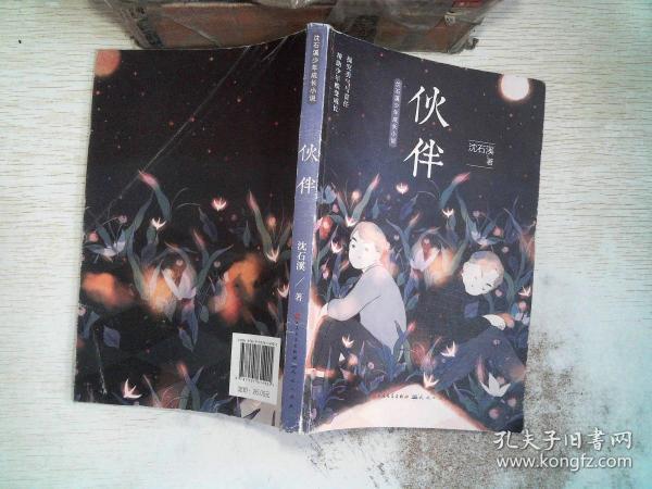 伙伴沈石溪少年成长小说