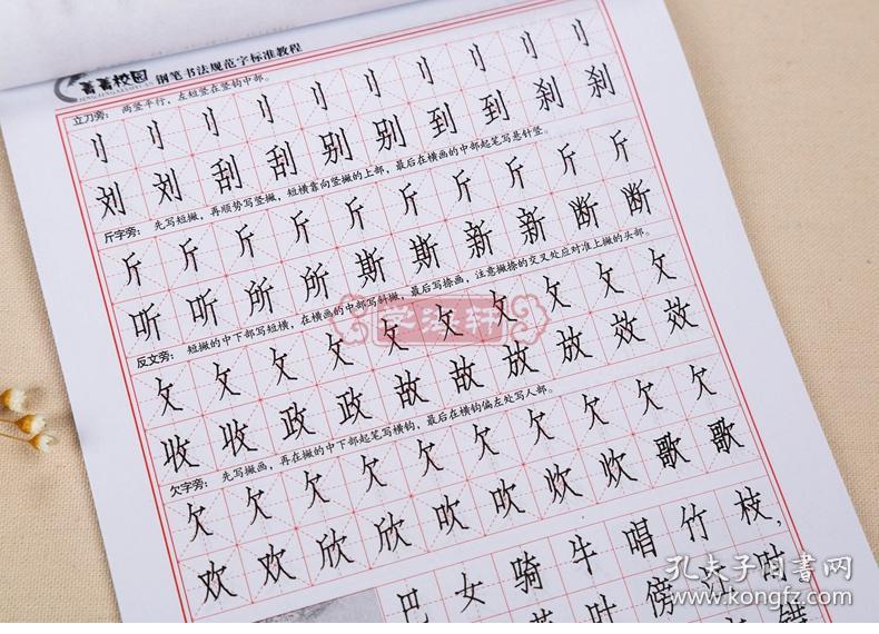 刘佳尚 成人学生钢笔硬笔中性笔水笔消字笔仿宋体书法临摹练习字帖
