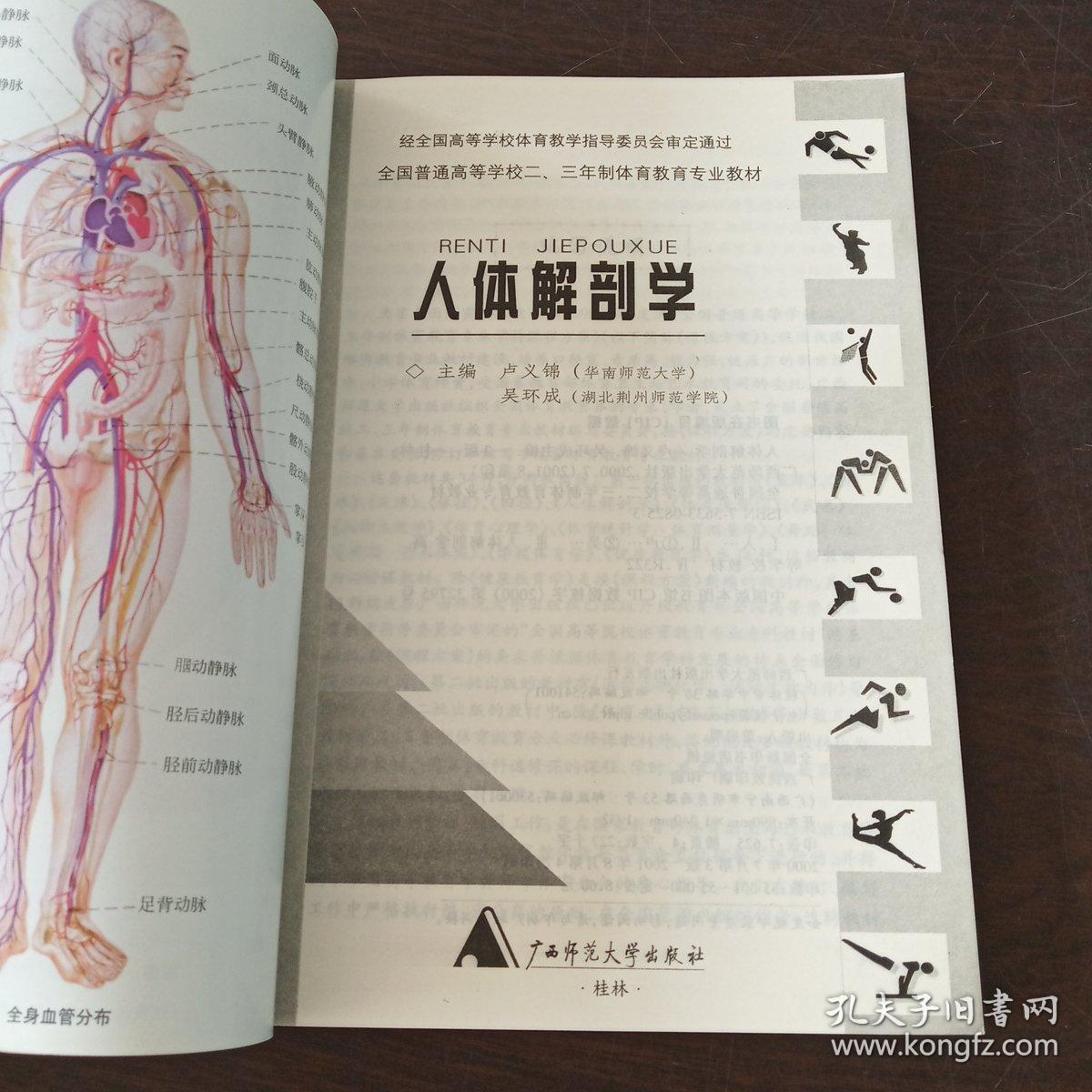 普通高等学校十一五国家级规划教材:运动解剖学