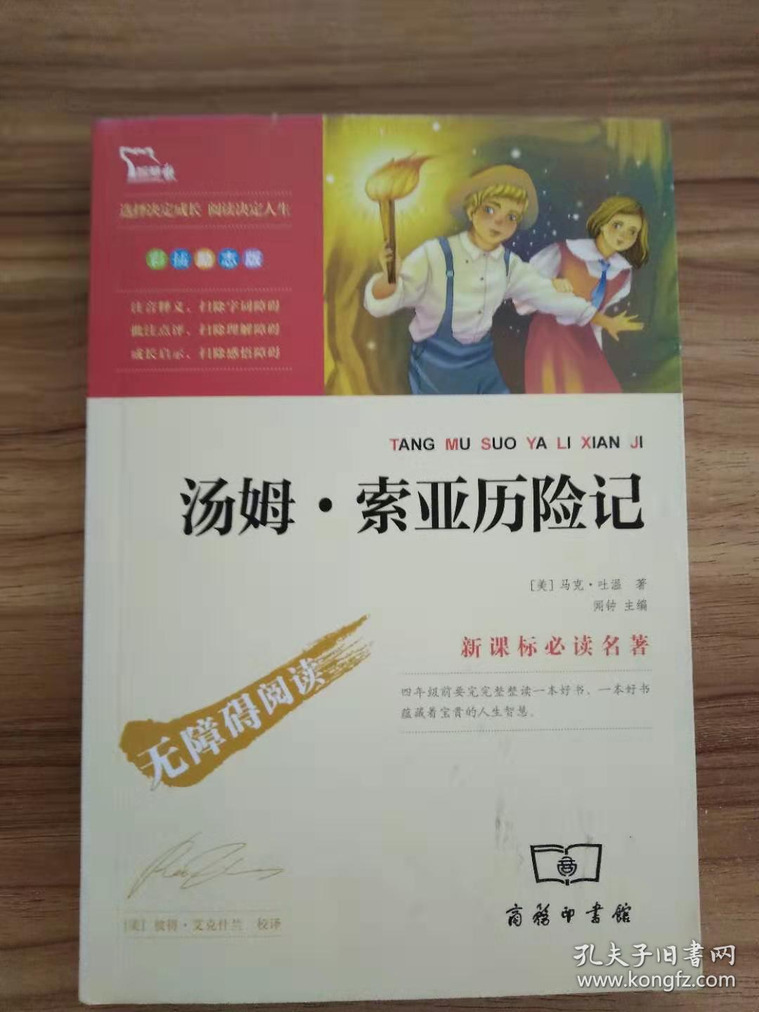 汤姆·索亚历险记(彩插励志版 无障碍阅读)/新课标必读名著