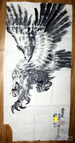 杨振宇 雄鹰