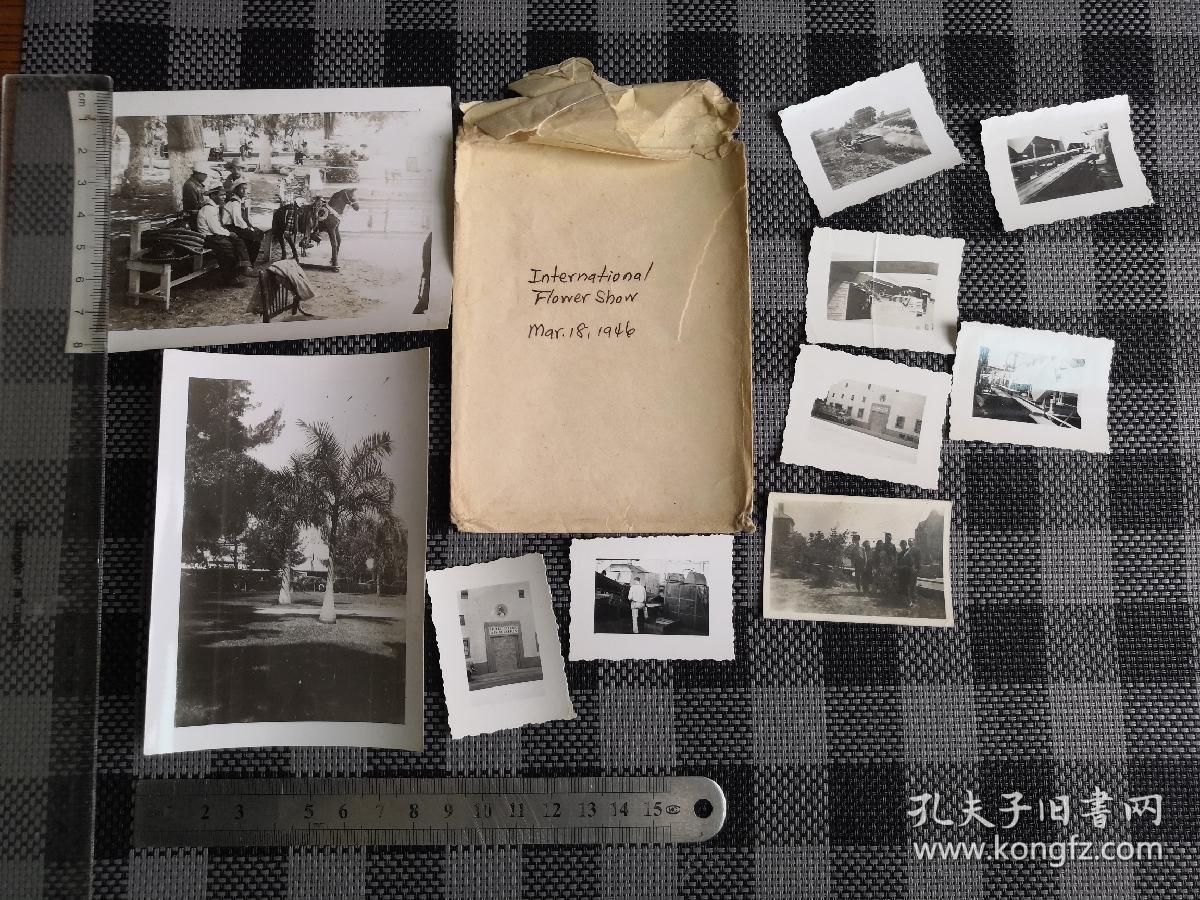 1946年国际花卉展览照片,international flower show.