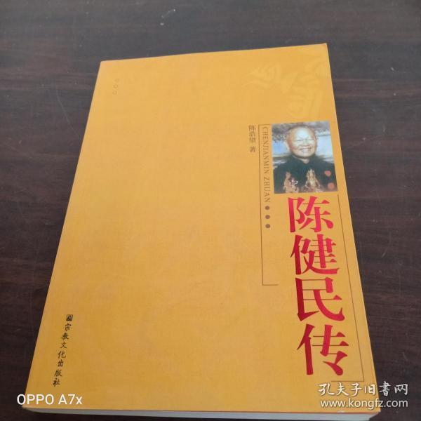 陈健民传