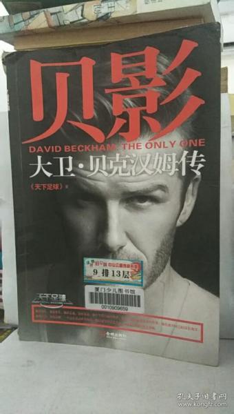 [天下足球贝克汉姆] 图书价格_书籍图片_网购评