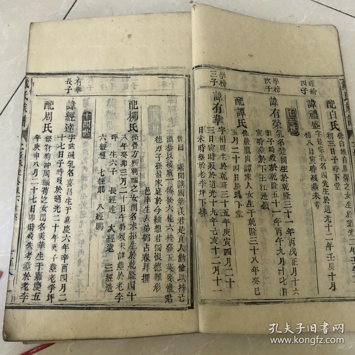 老家谱 戴氏族谱两册