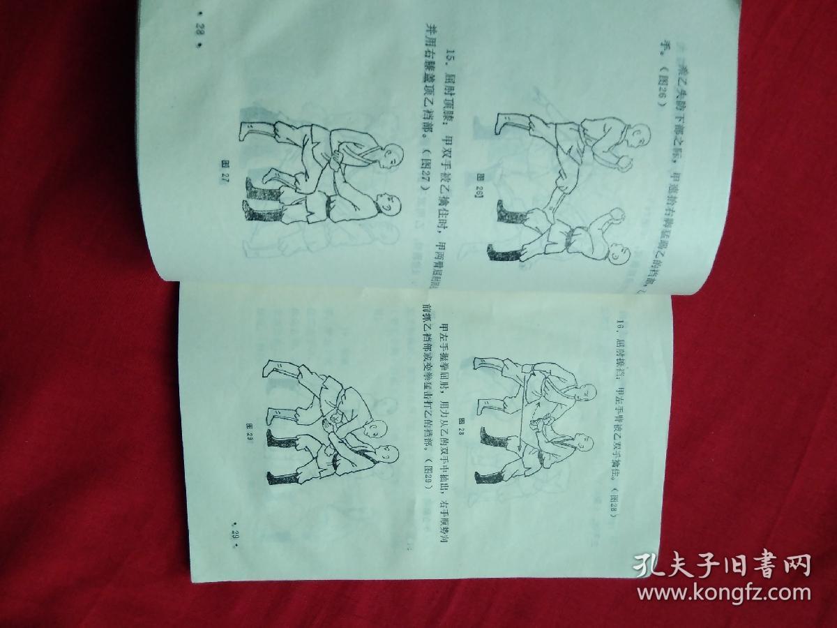 少林擒拿法(修订本
