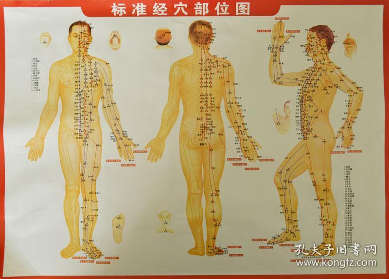 根据中医典籍和历代针灸学专著如《黄帝800_573