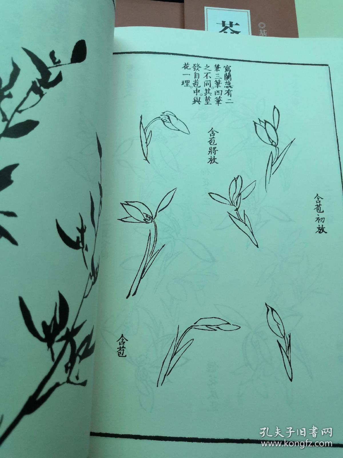 兰花树曲谱_越剧兰花吟曲谱(3)
