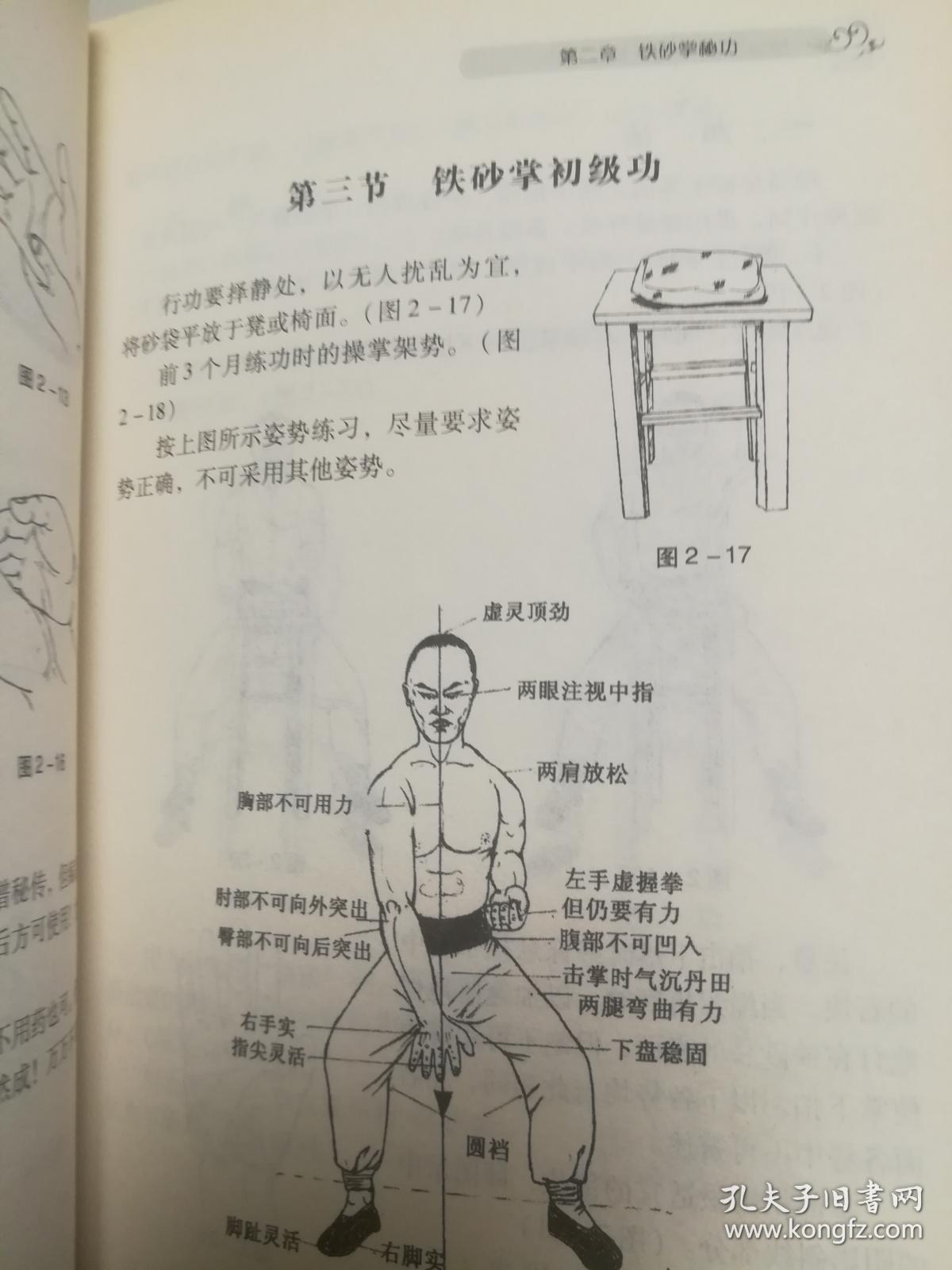 顾汝章秘传铁砂掌