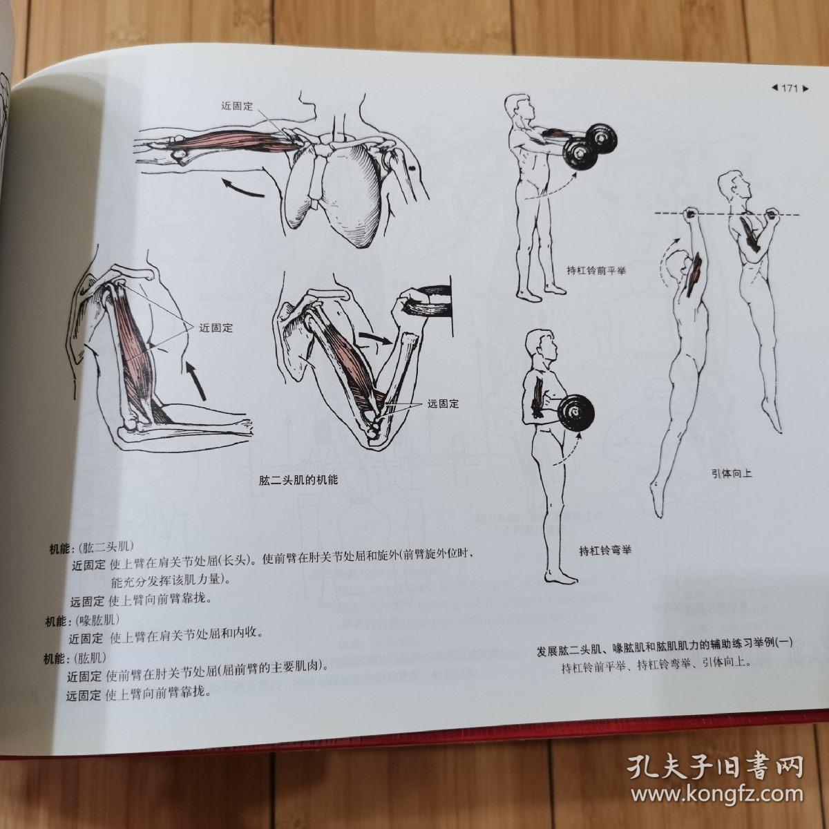 运动解剖学图谱