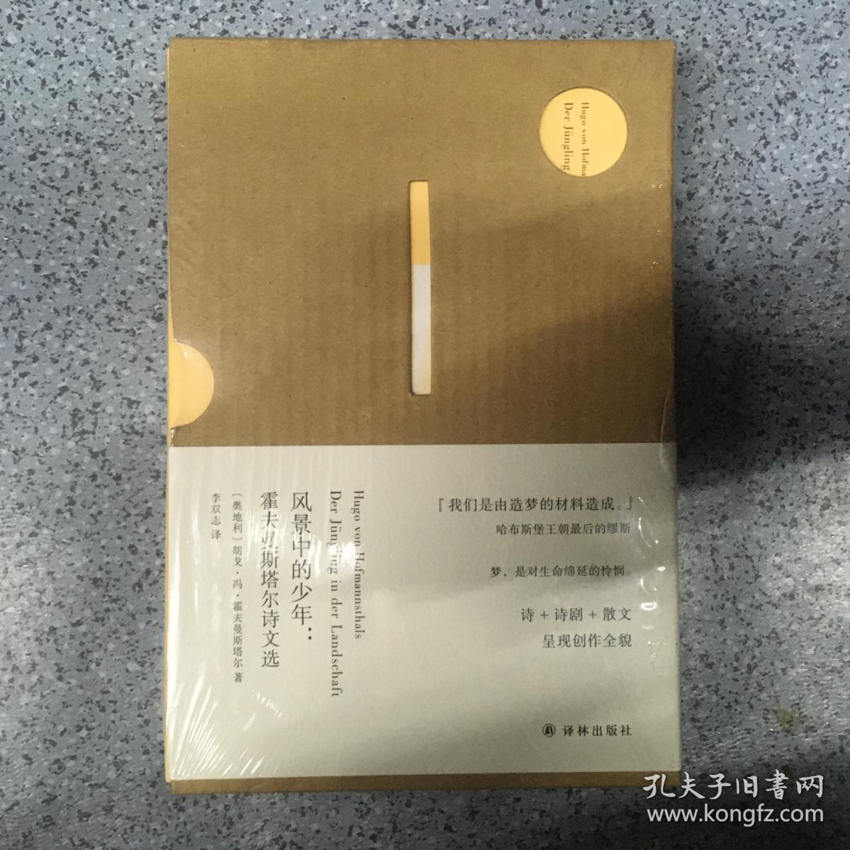 风景中的少年:霍夫曼斯塔尔诗文选(软精)