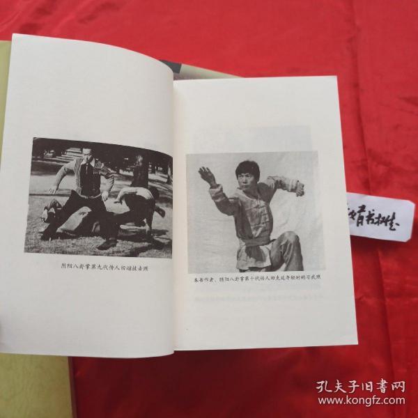 蟒形掌;狮形掌; 虎形掌; 熊形掌;蛇形掌;蛇形掌;猴形掌;鹏形单~阴阳