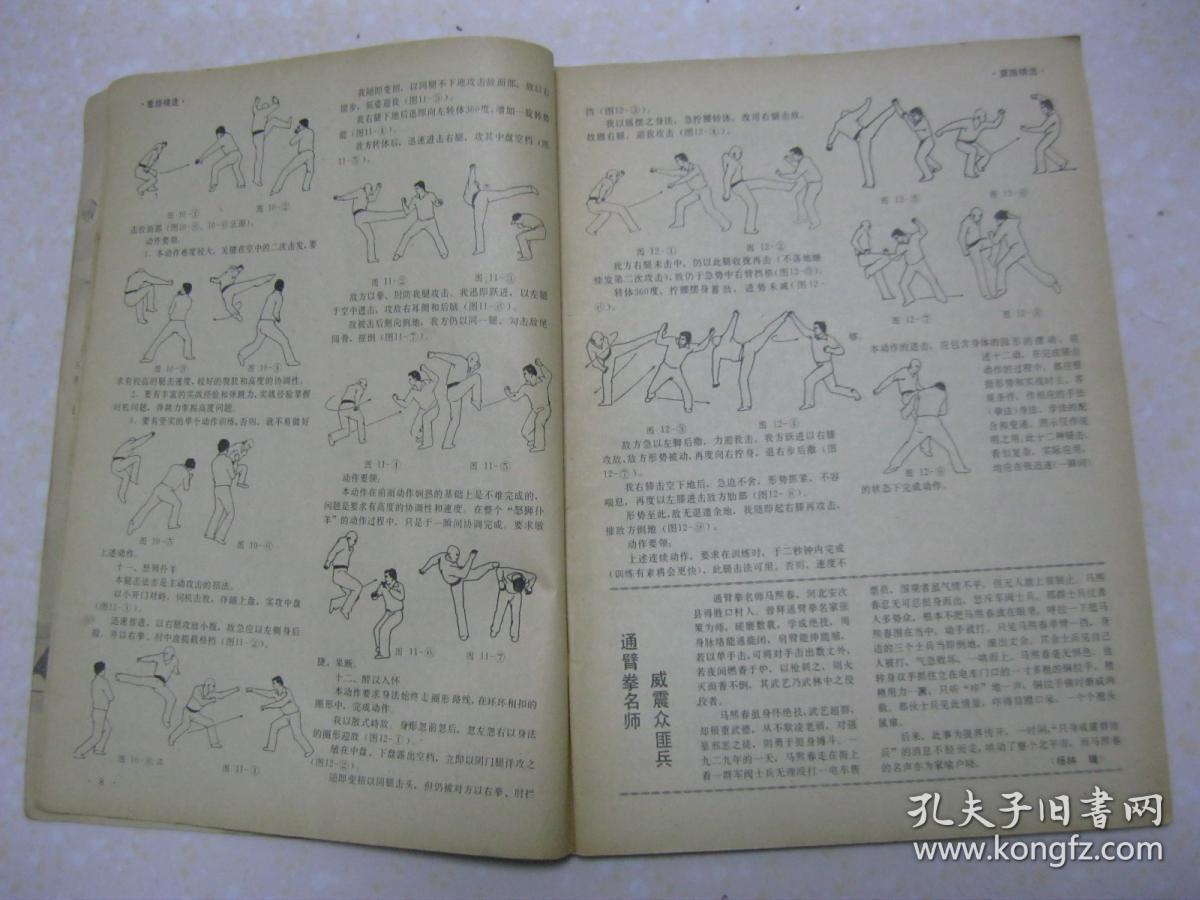 传奇;五势梅花桩主韩其昌;太极名家崔毅士;塞外名技——五行蹴拳;独树