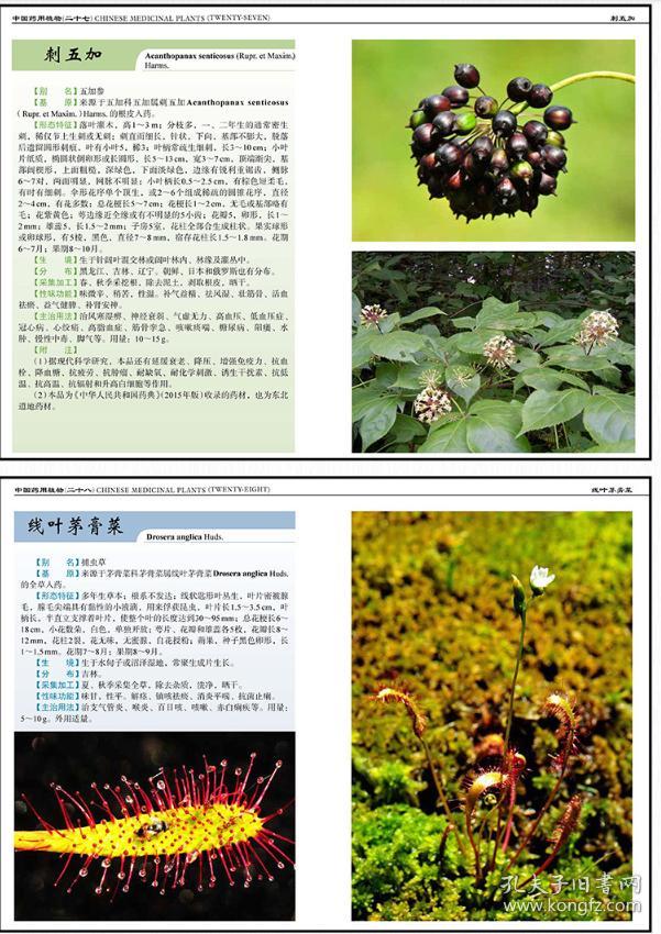 全彩中国药用植物中草药认知(1-6辑(01-30共30册 中药彩色图鉴内有
