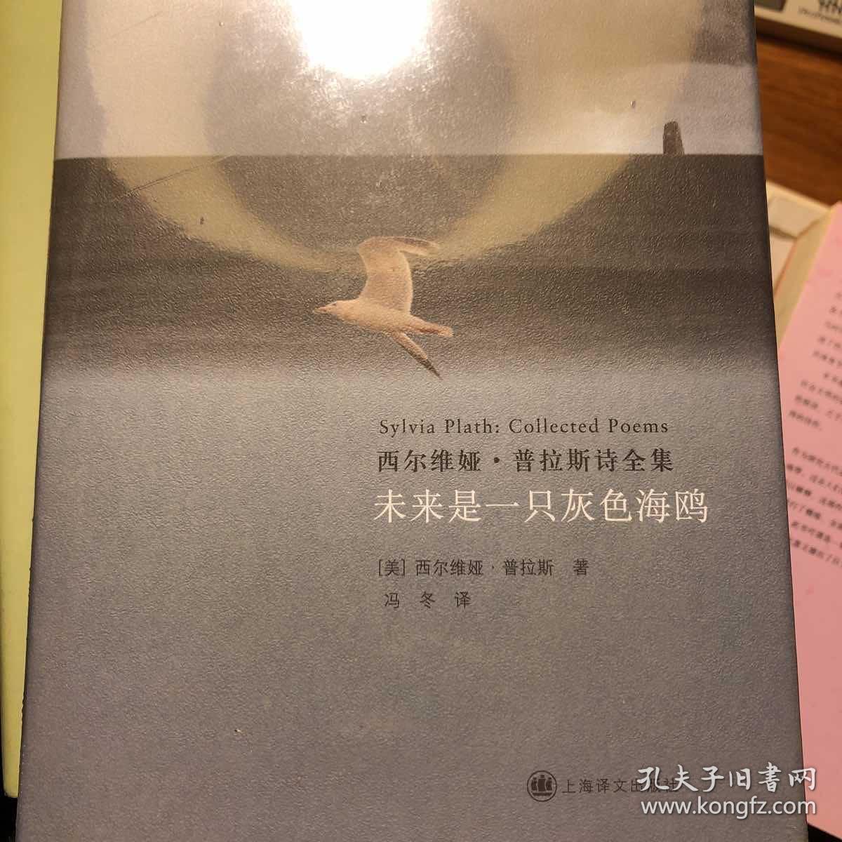 未来是一只灰色海鸥:西尔维娅·普拉斯诗全集