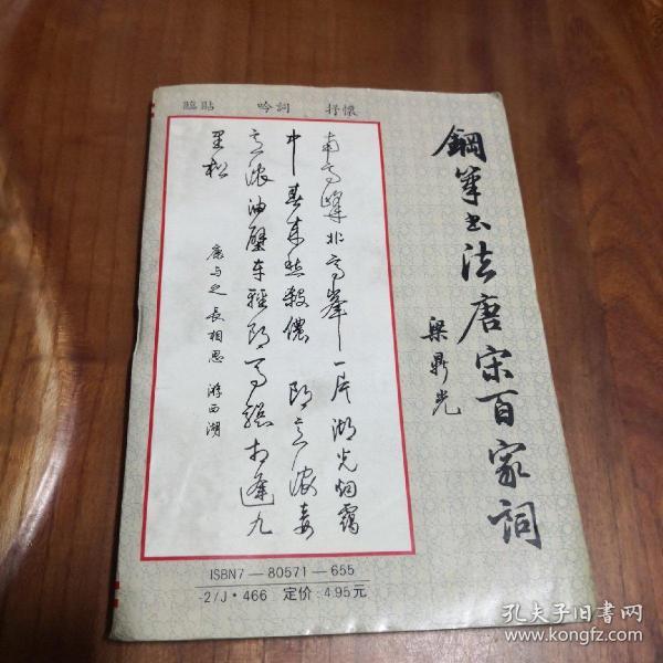 钢笔书法唐宋百家词 楷书 行书 草书多体书法 梁鼎光 钢笔字帖