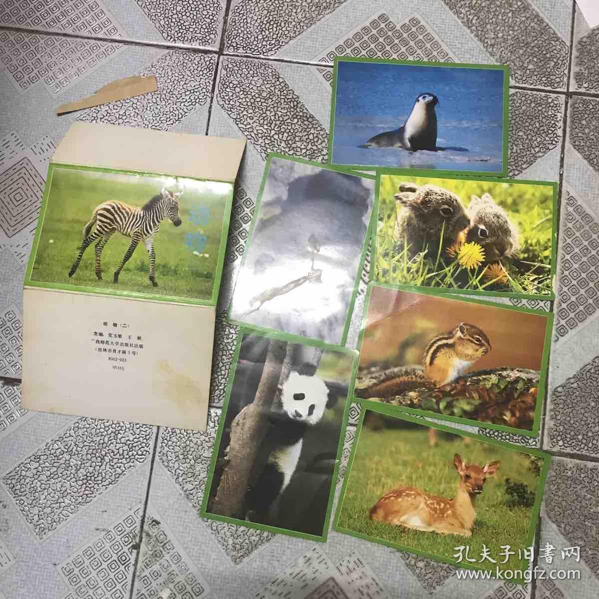 明信片 动物 二(6张)