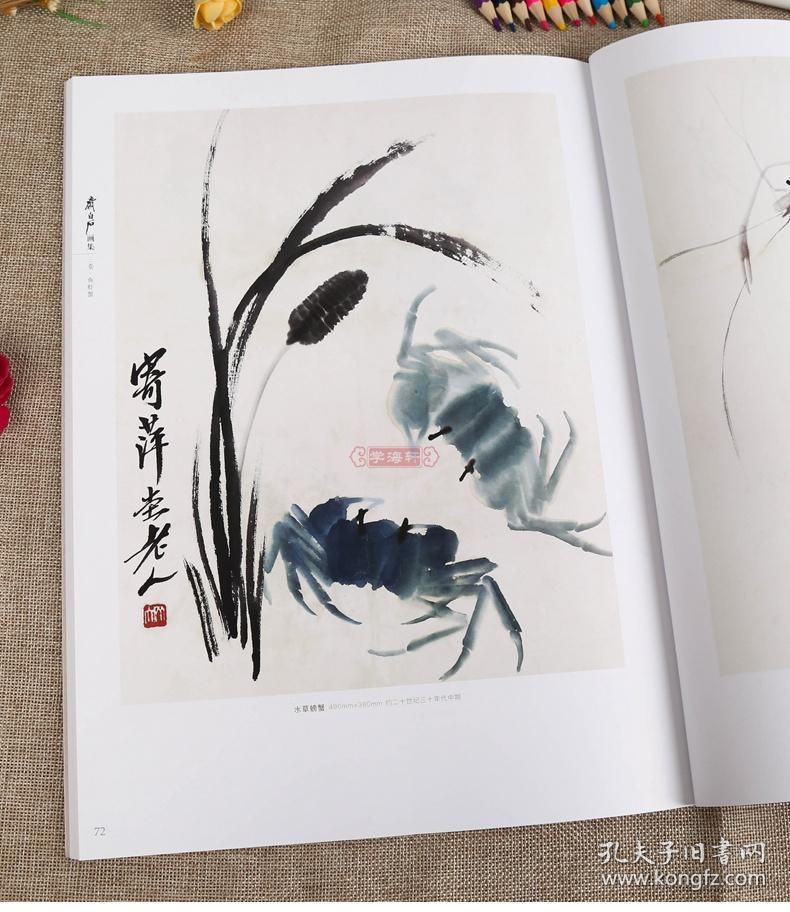 杨建飞主编 成人学生中国画水墨画临摹范本绘画美术书籍画册作品集
