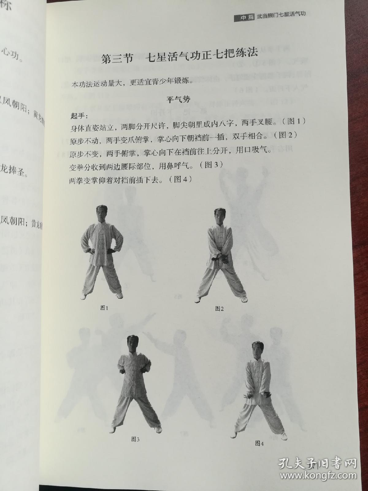武当熊门功夫秘典.少林洪门功夫秘典.二册