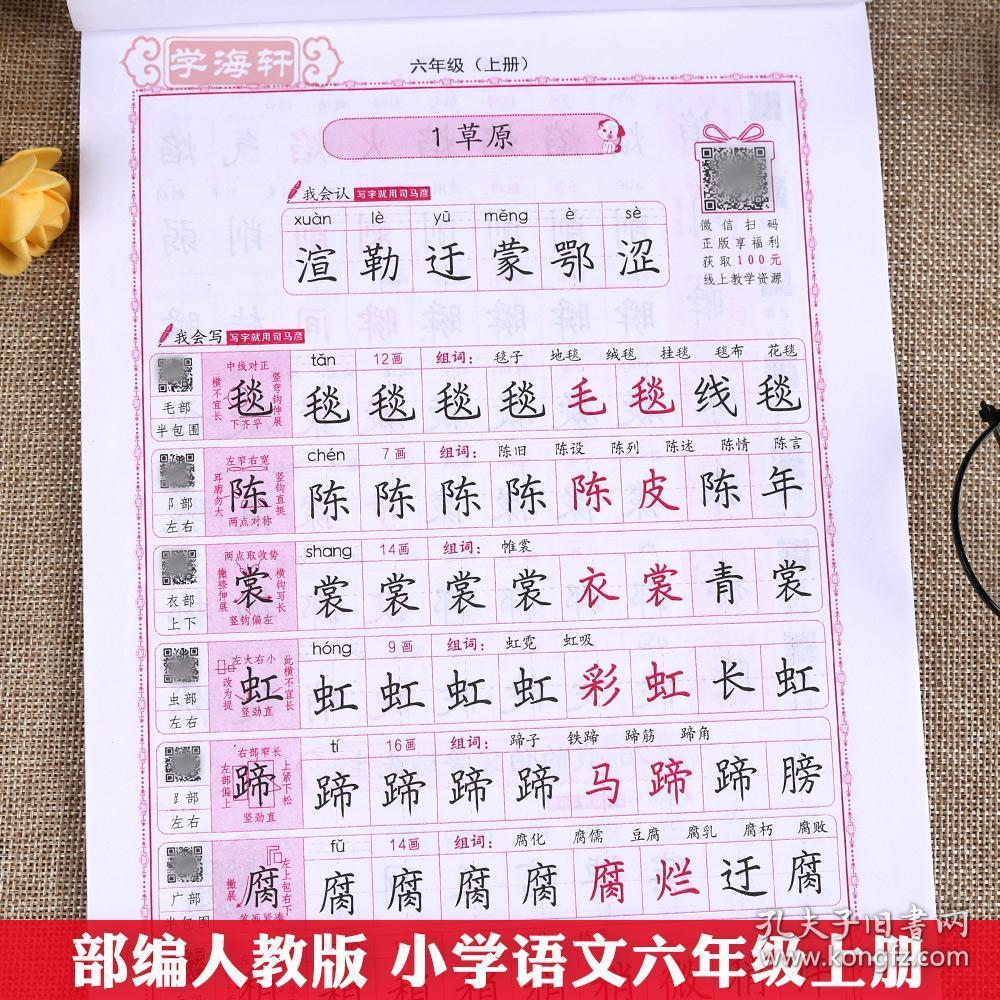 语文 写字课课练 司马彦钢笔硬笔书法临摹楷书练字帖小学 生六年级