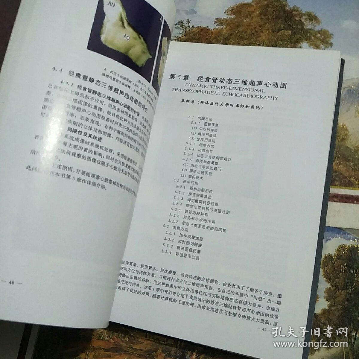 经食管超声心动图学