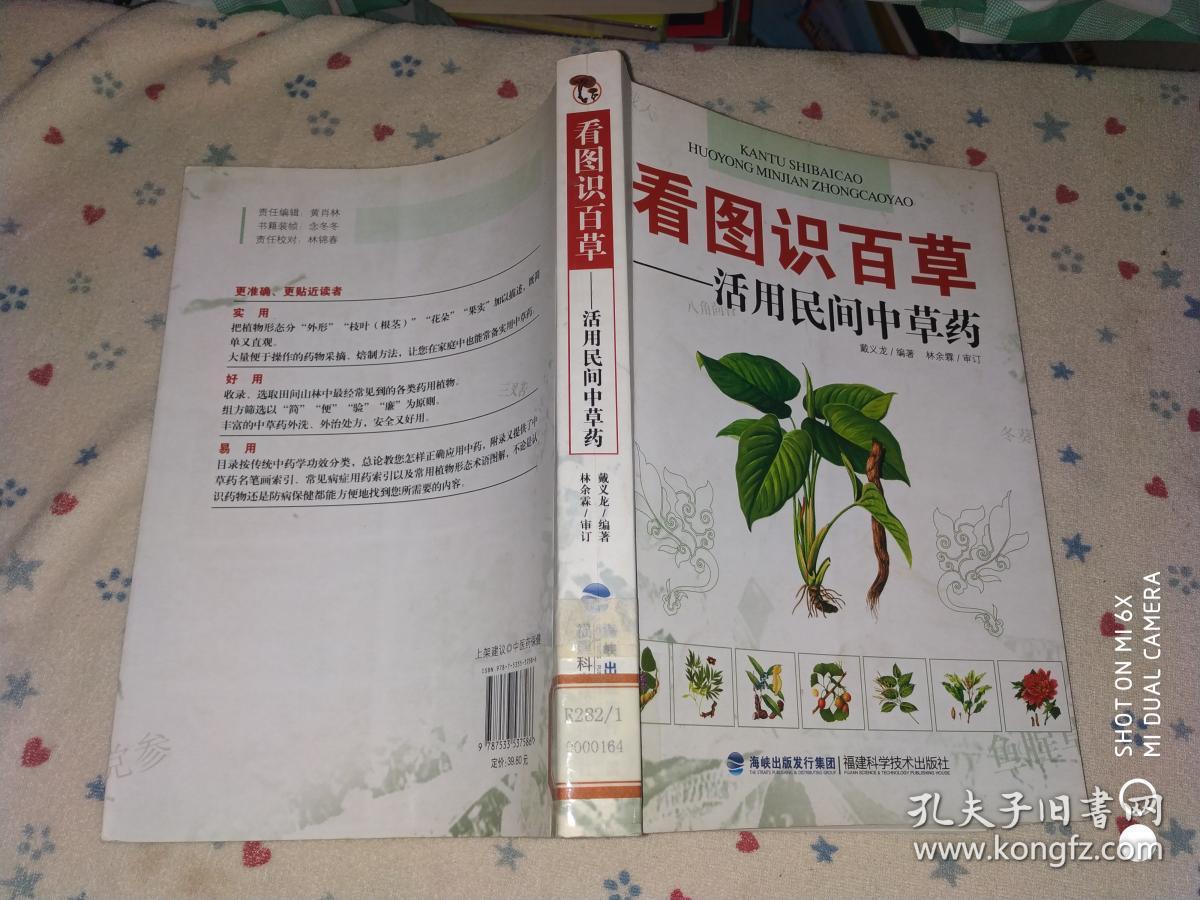 看图识百草:活用民间中草药