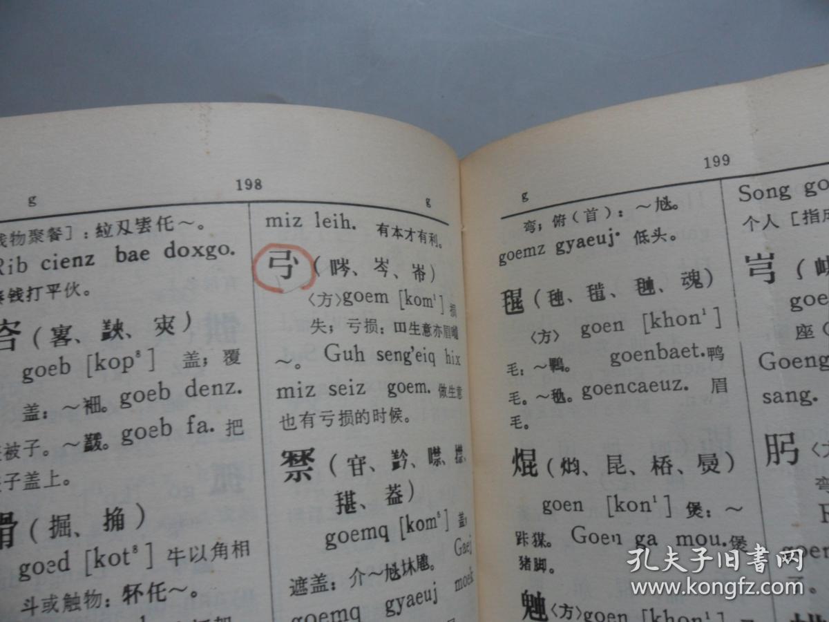 古壮字字典(初稿)一版一印_广西壮族自治区少数民族古籍整理出版规划