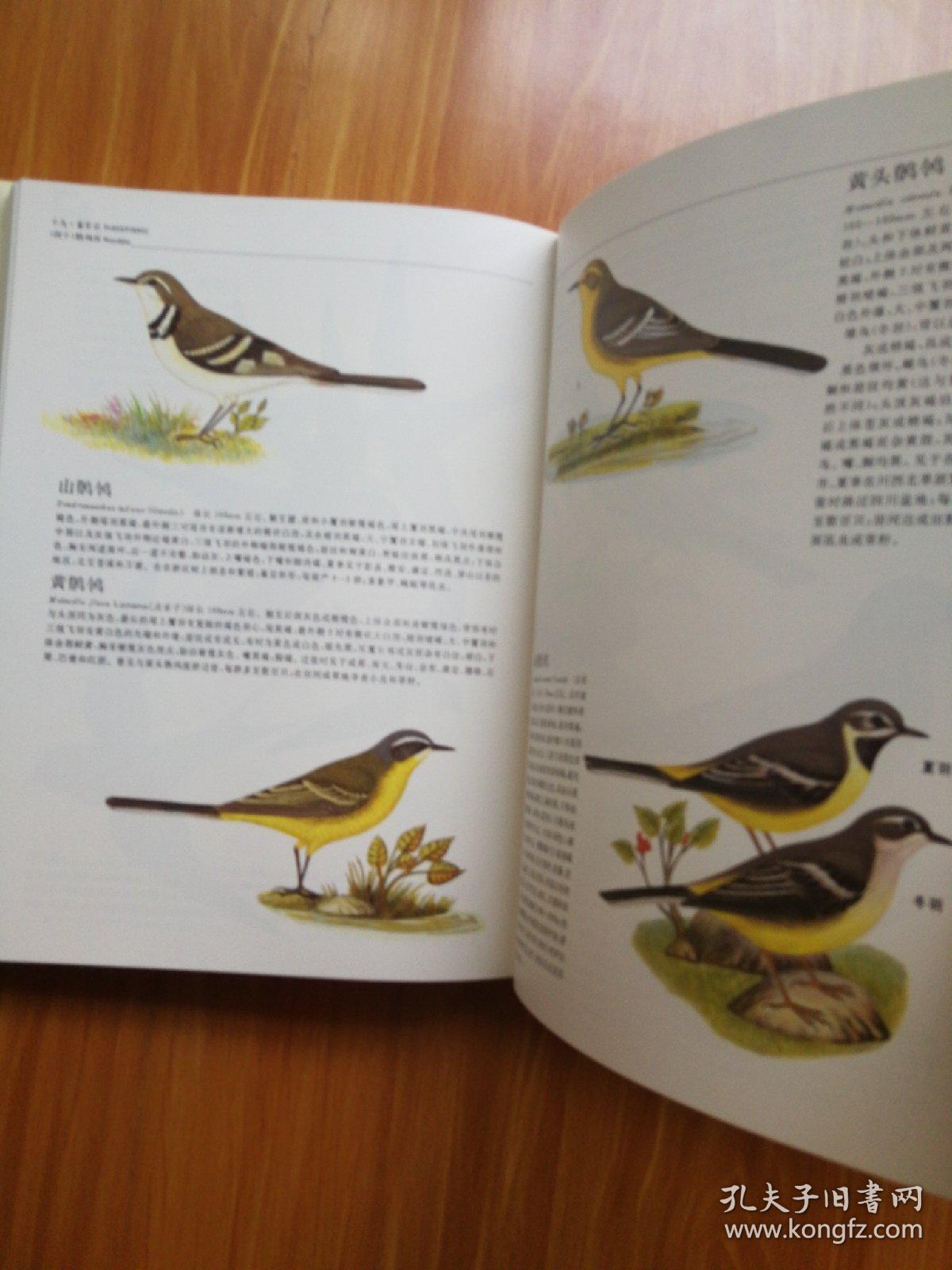 四川鸟类原色图鉴