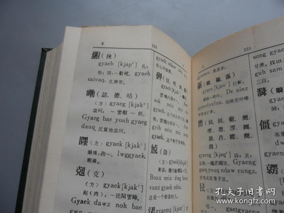 古壮字字典(初稿)一版一印_广西壮族自治区少数民族古籍整理出版规划