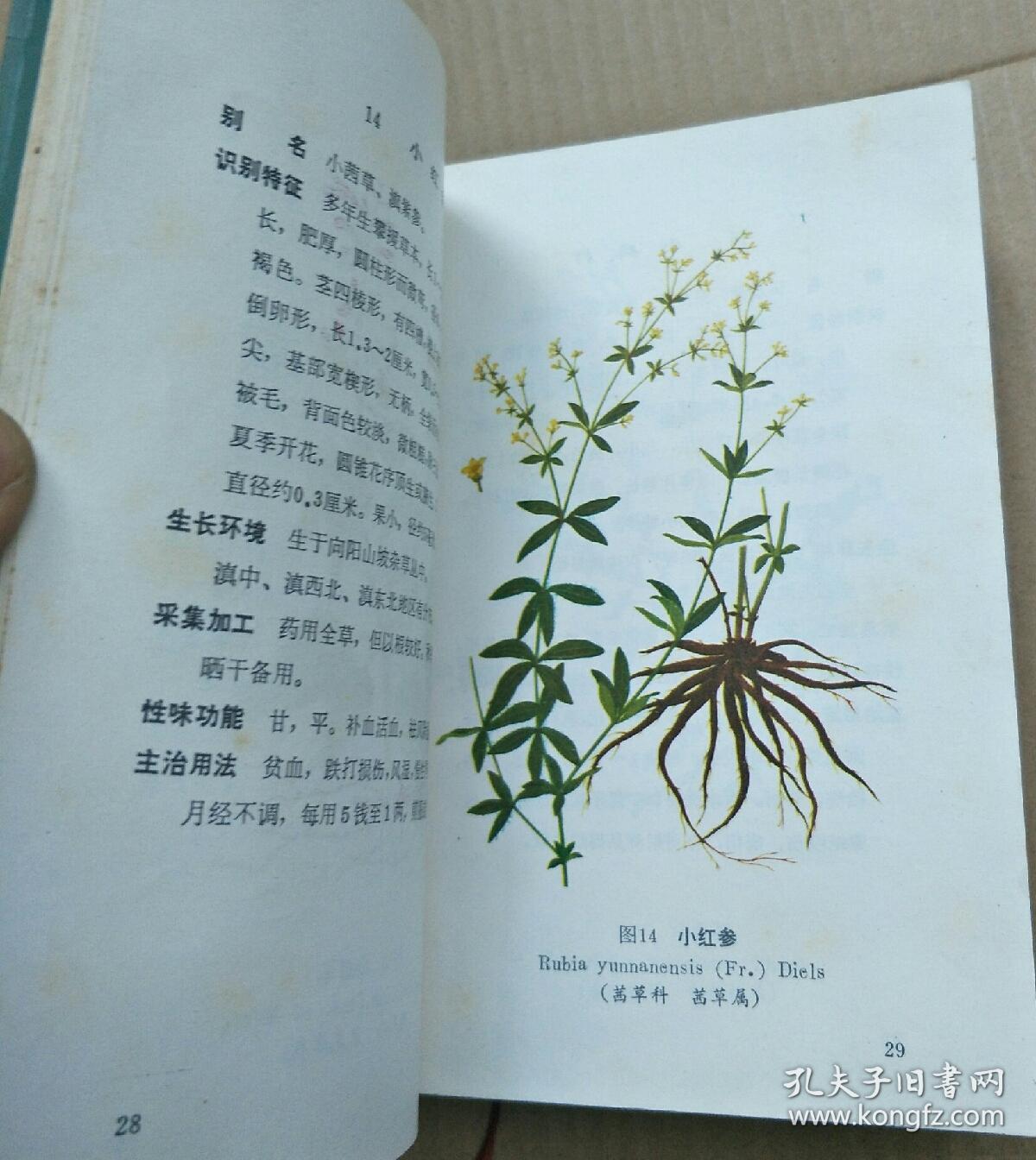 云南中草药选 ( 书缺林题和非页 品相看图 )