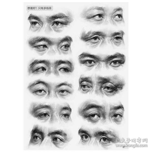 正版现货美术标准教案素描头像零基础入门人物头像五官塑造结构明暗范